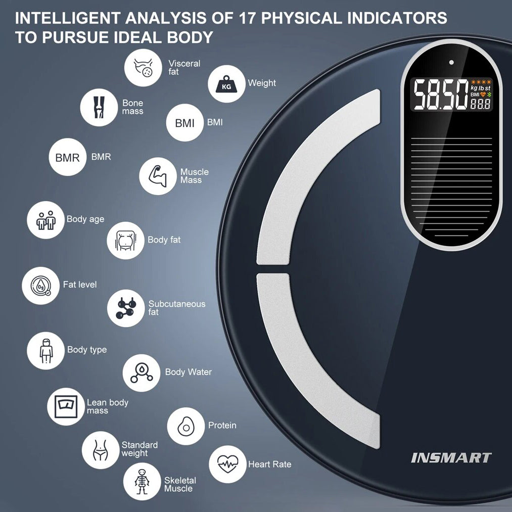 Weight Solar Scale "Insmart"
