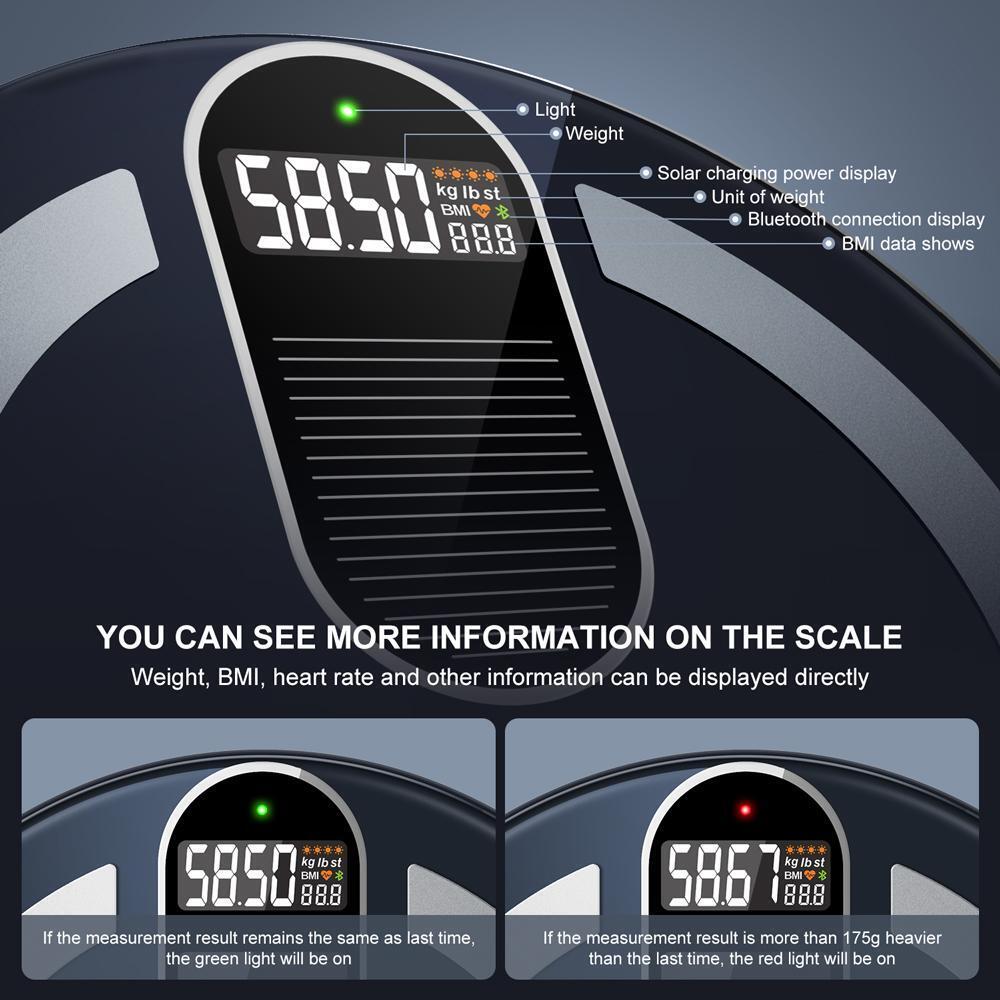 Weight Solar Scale "Insmart"