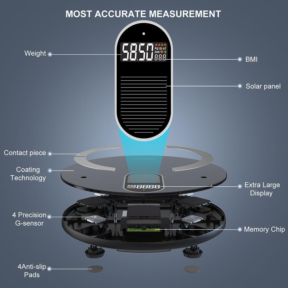Weight Solar Scale "Insmart"