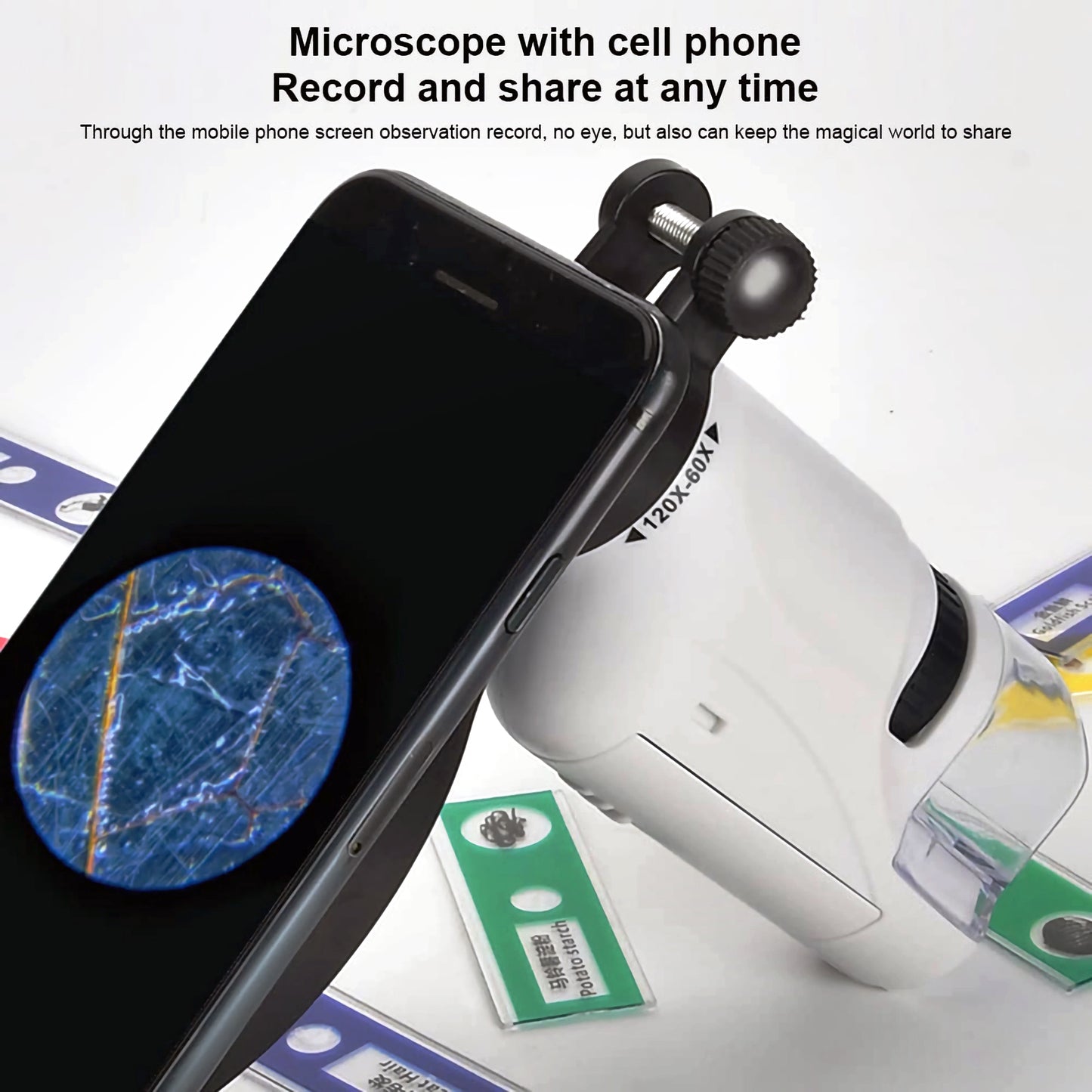 ExploreZoom Junior : microscope LED compact pour enfants – Grossissement 60X-120X, cadeau parfait pour les jeunes explorateurs