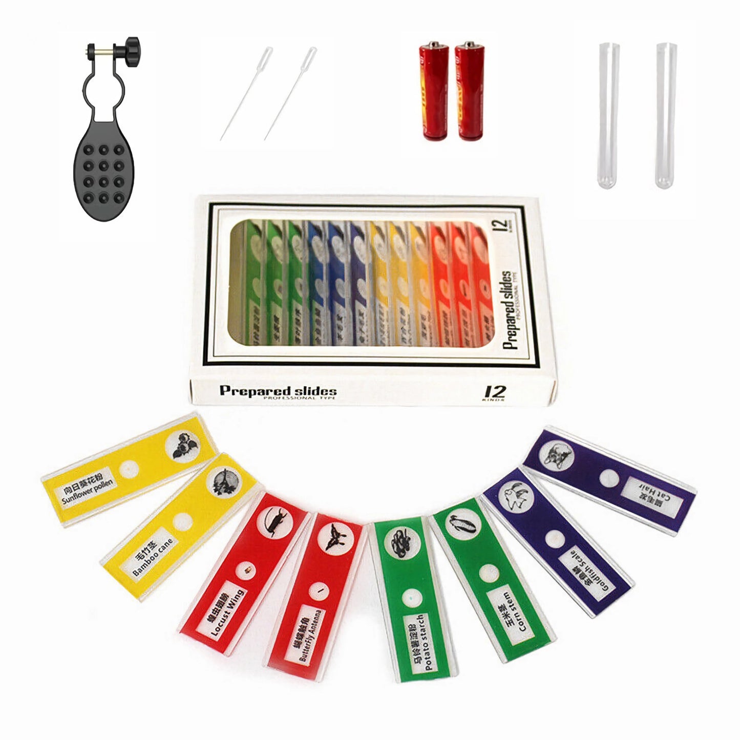 ExploreZoom Junior : microscope LED compact pour enfants – Grossissement 60X-120X, cadeau parfait pour les jeunes explorateurs